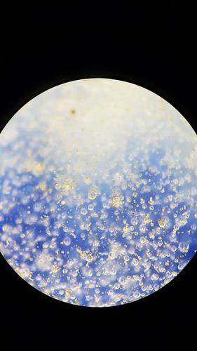 明代青花瓷器气泡图片