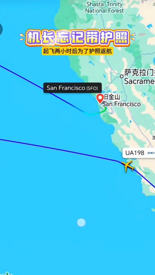 美国到上海飞机要多久